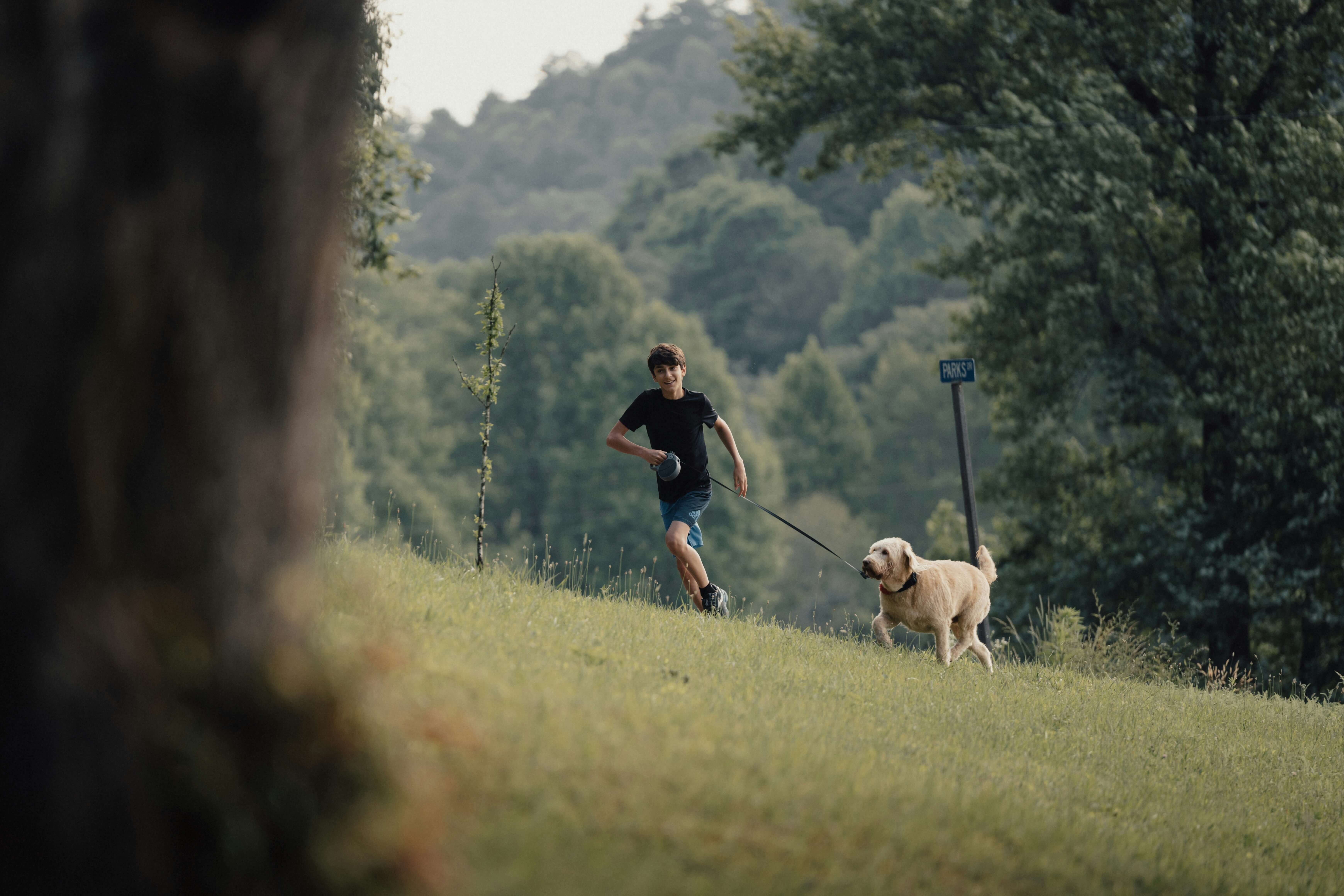 Active person jogging with a dog, representing active lifestyle breeds