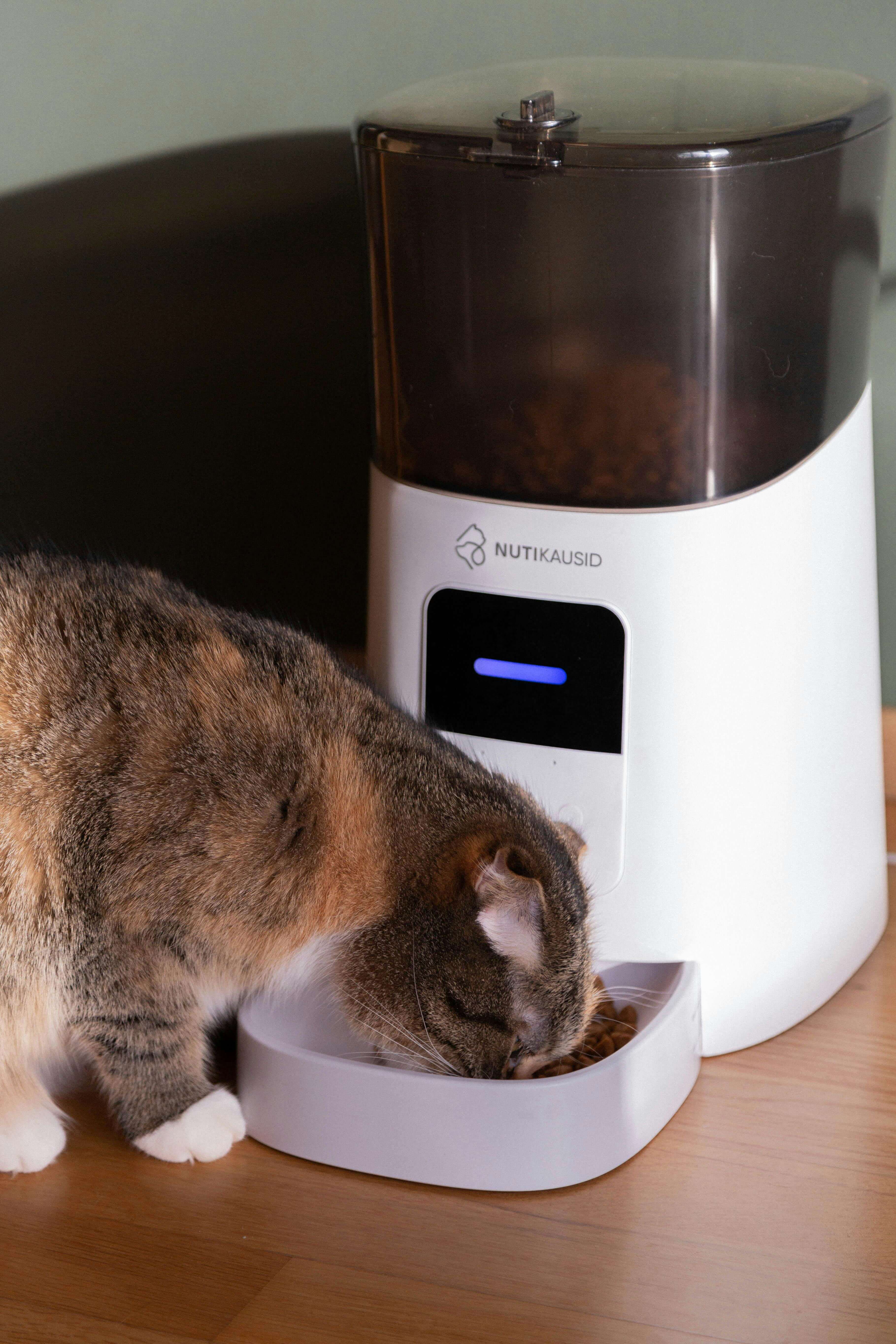Automatic pet feeder