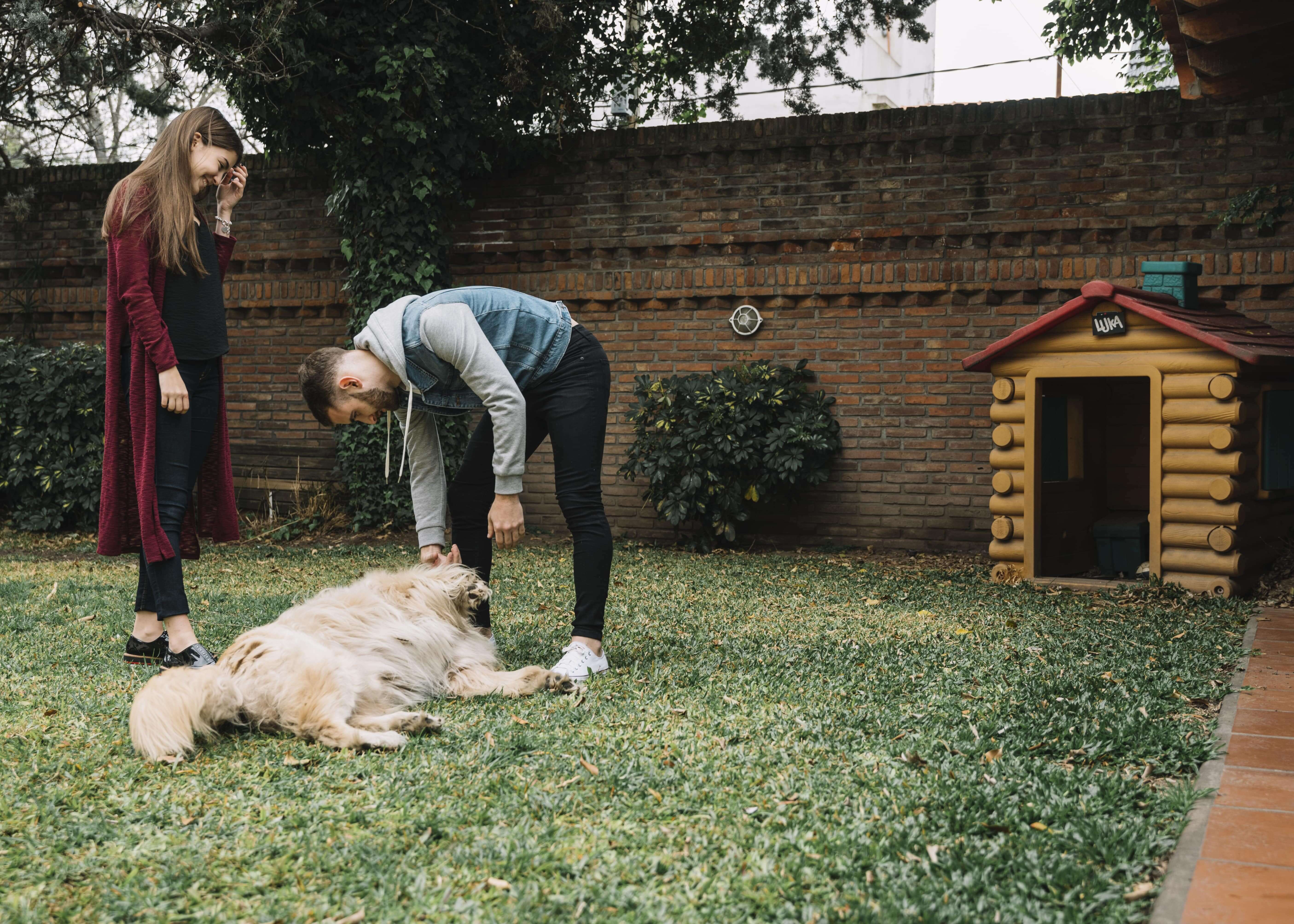 A puppy-proofed home with safe spaces and toys