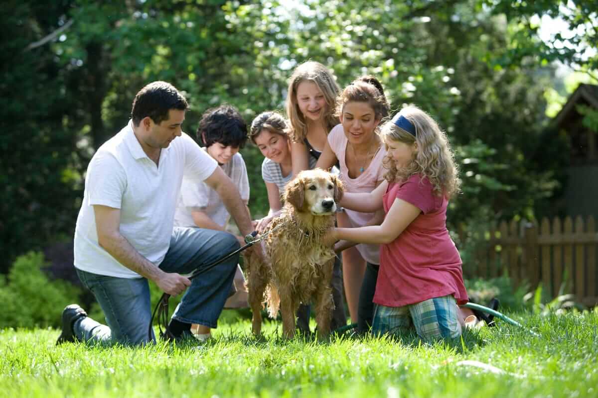 Dog owners with different breeds discussing breed selector tools and adoption costs