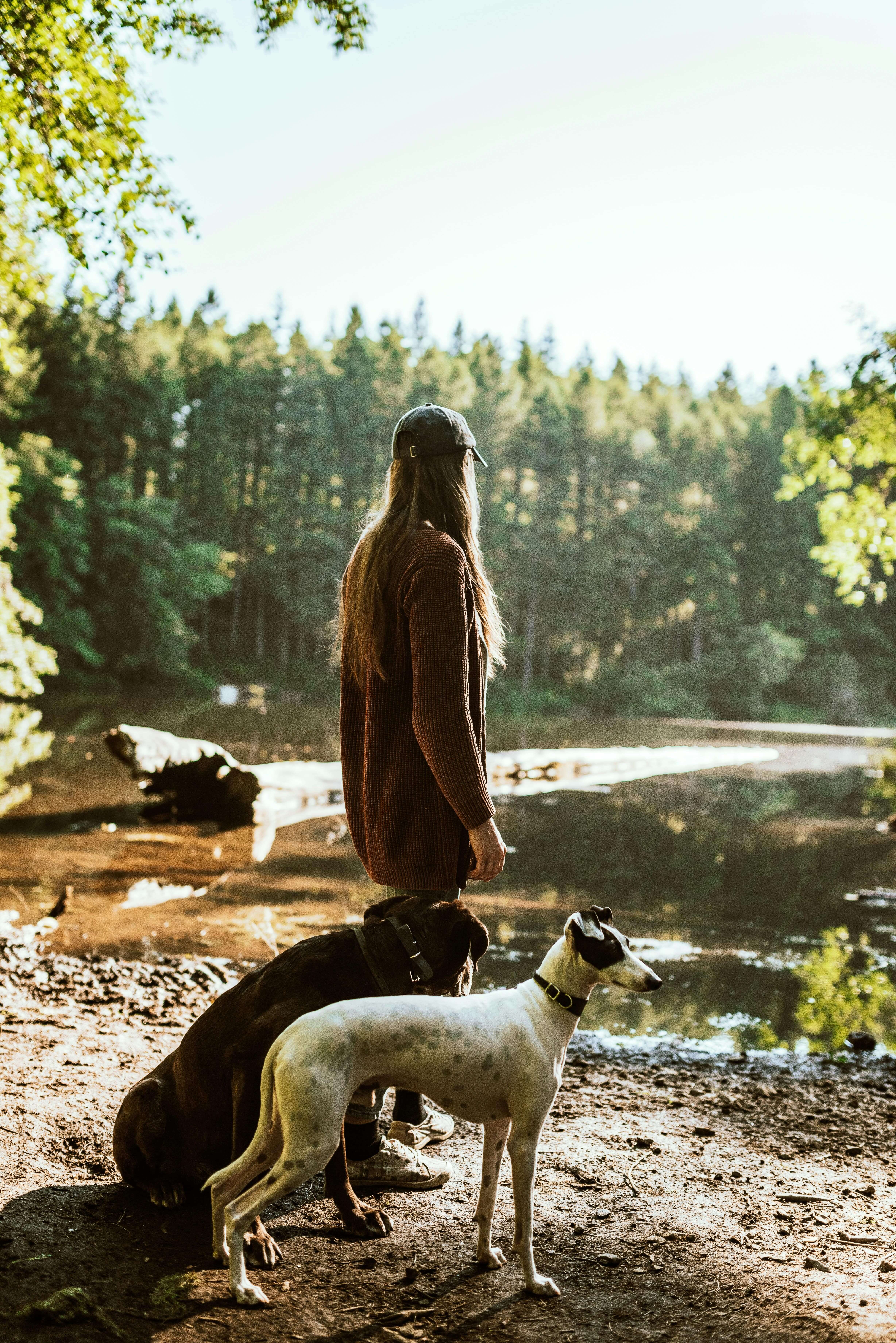Dog and owner enjoying outdoor time together